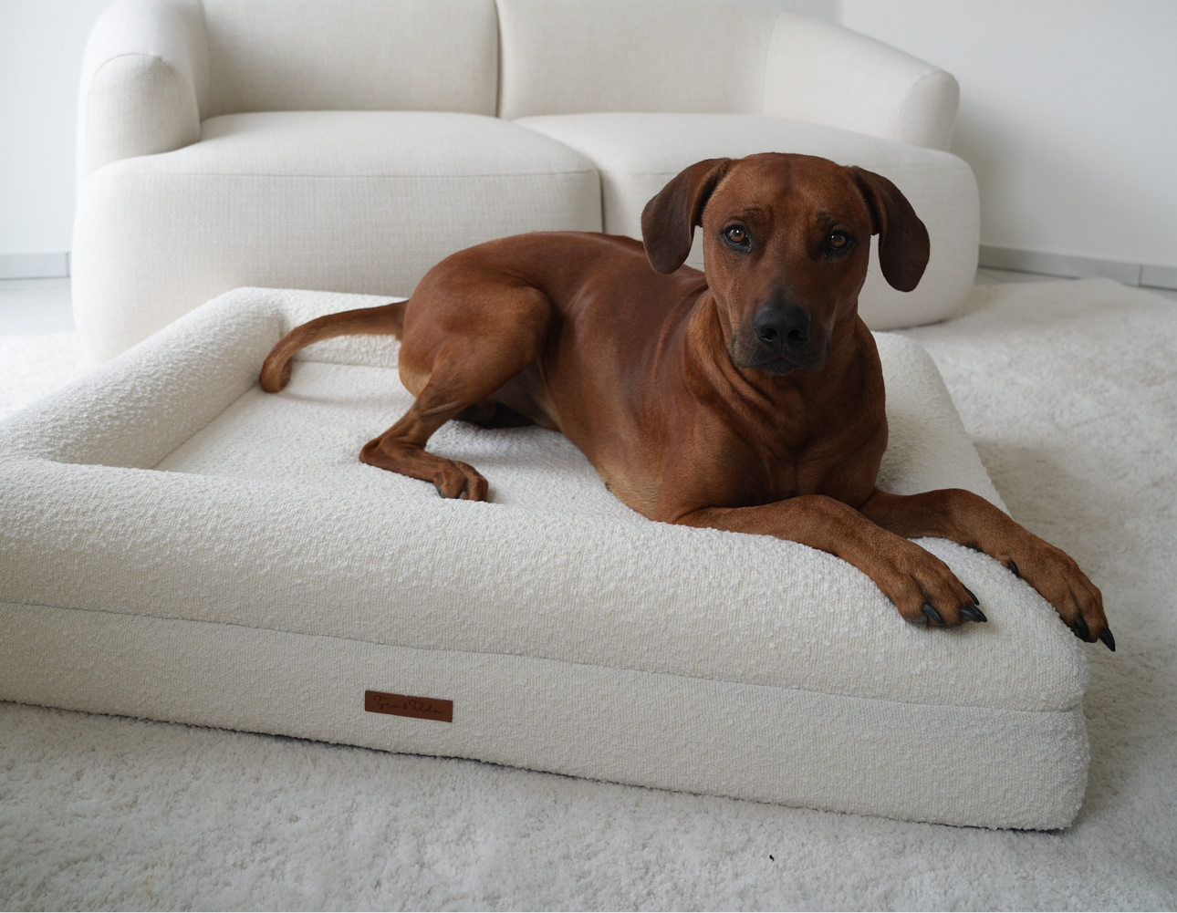 Hundebett Grace