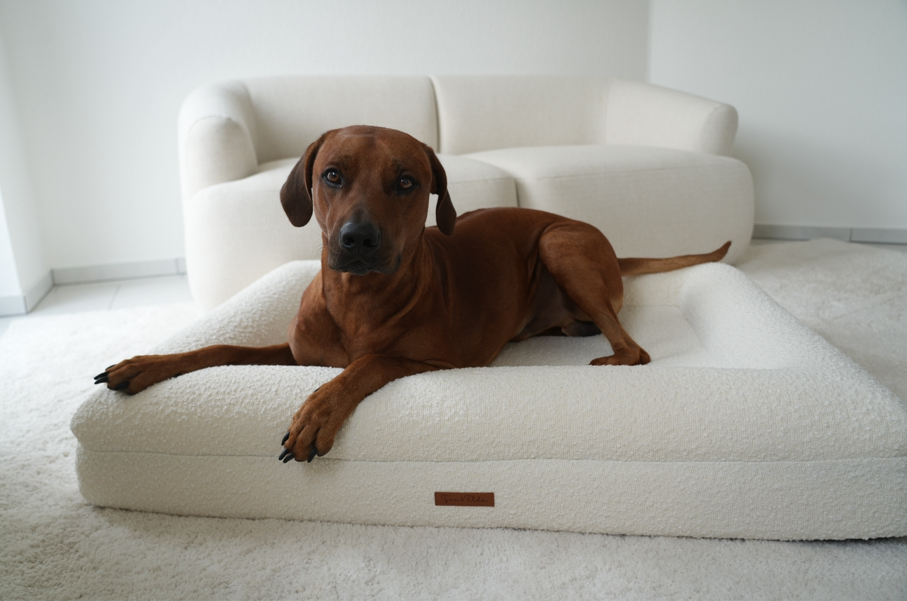 Hundebett Grace