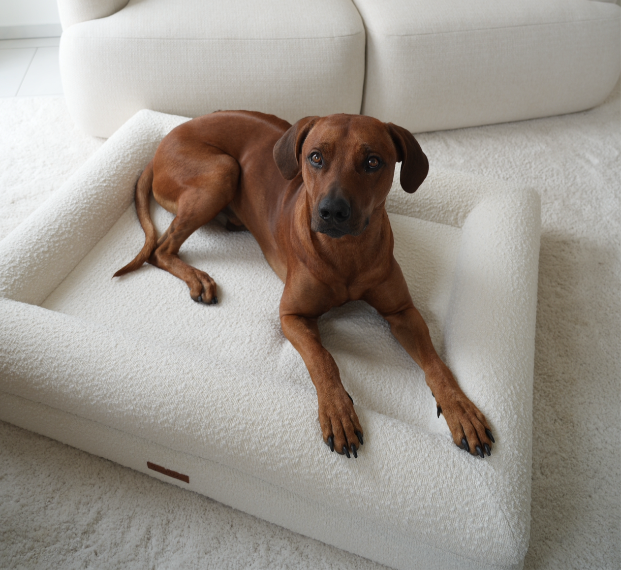 Hundebett Grace