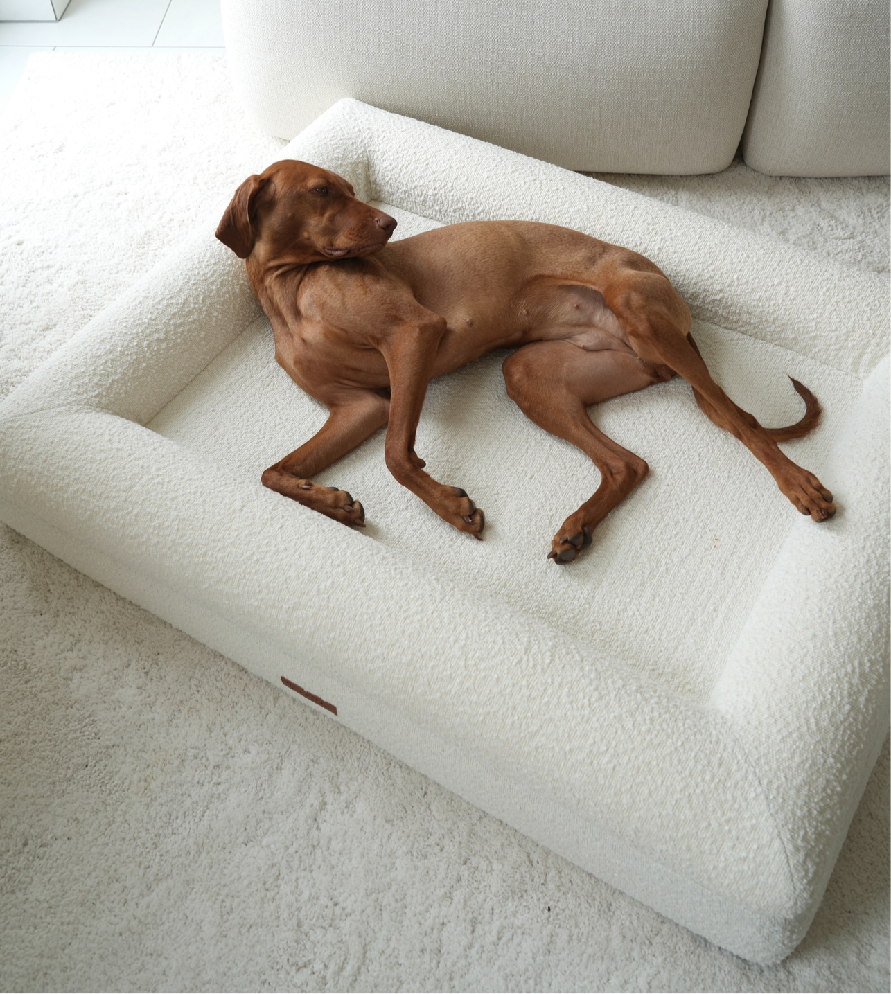 Hundebett Grace