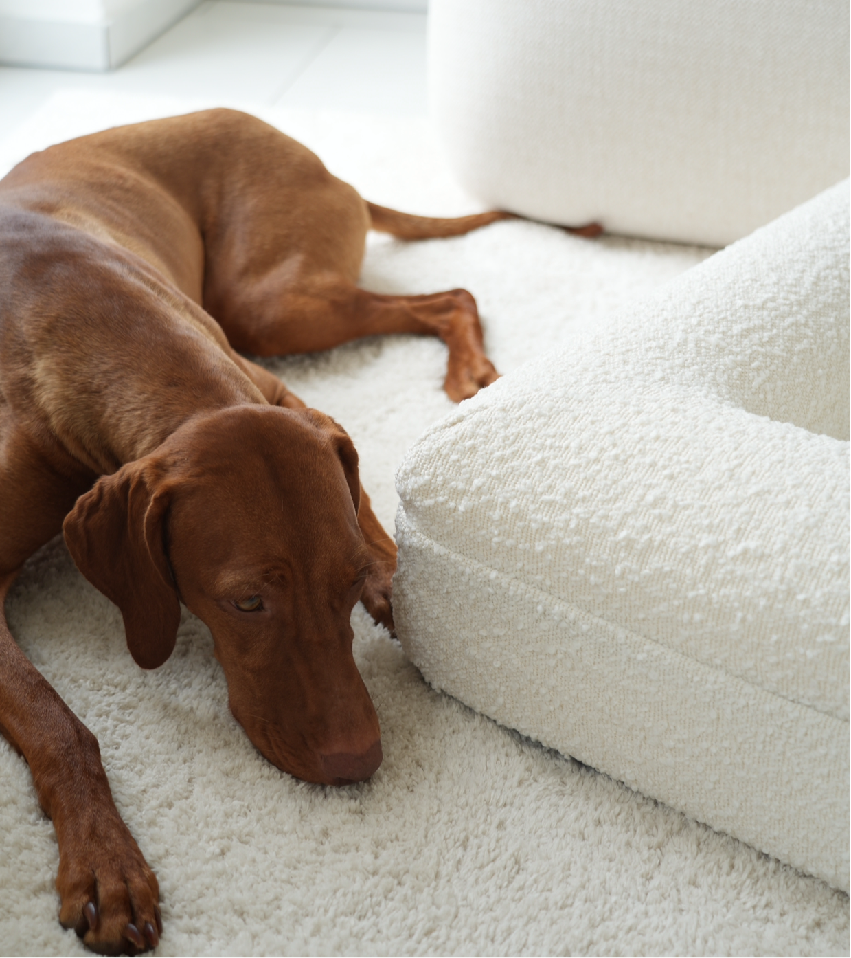 Hundebett Grace