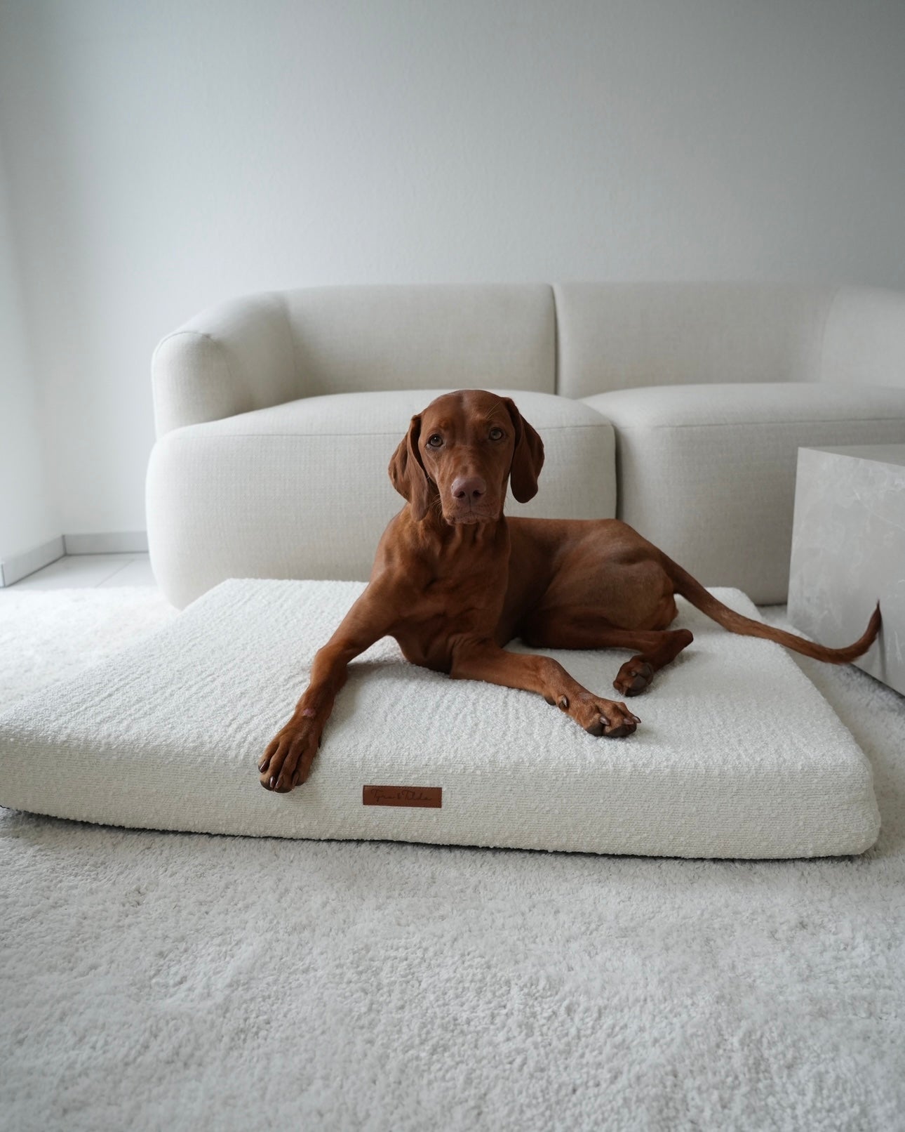 Hundekissen Amalia