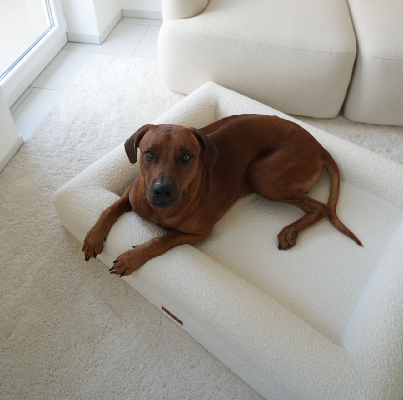 Hundebett Grace